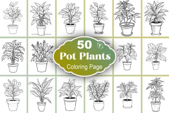 Download Pot Plant Coloring Page - Premium Resources