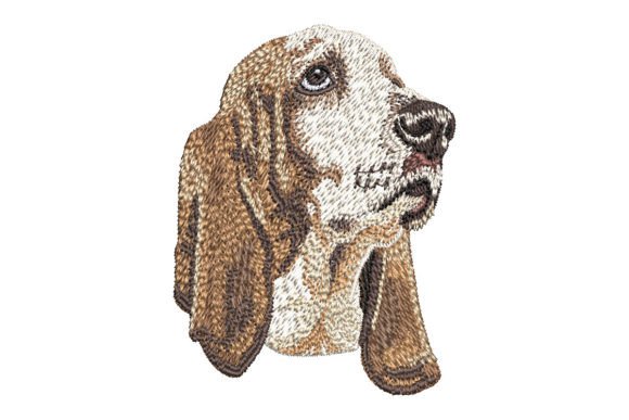 Download Basset Hound - Hound Collection